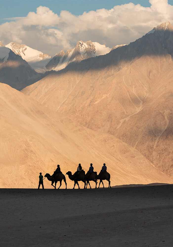 Leh Ladakh Nubra Valley Pangong Ex Leh